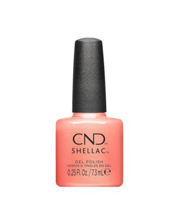 CND SHELLAC Apribot 0,25 oz Dynamic Duality Automne 2024