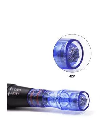 SKAYA Cartouche d'aiguilles 42P (bte de 5)