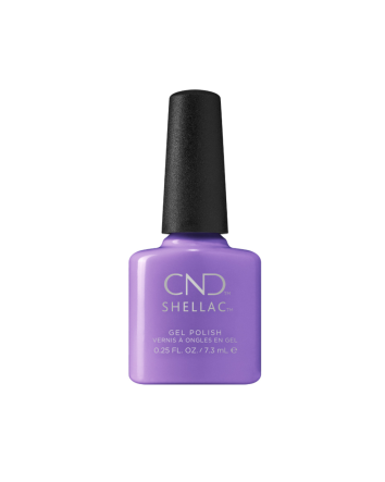 Bazar artisanal de gomme laque CND