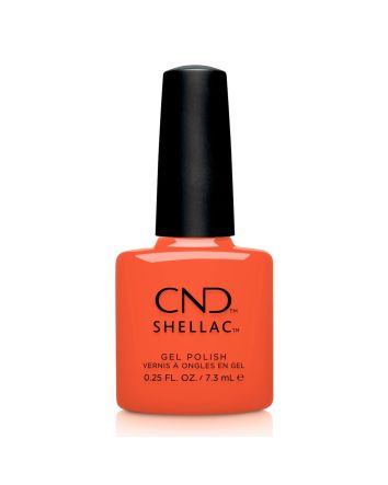  IG-NIGHT-ED #471 Collection Été Gleam &amp; Glow 2024