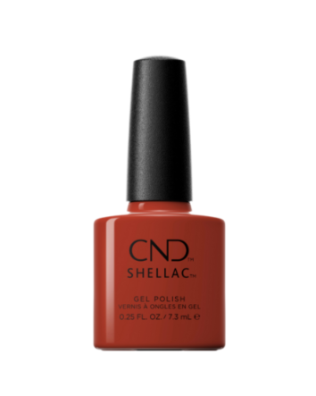 Feuilles d'érable COLOR WORLD 