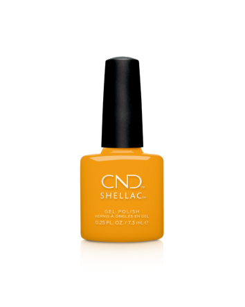 CND SHELLAC PARMI LES SOUCIS