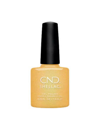 Cadran solaire CND Shellac It Up