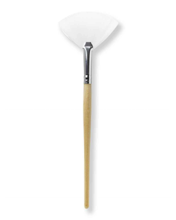 Brosse éventail 20cm (8po)