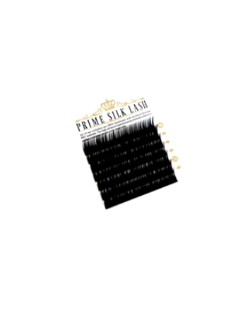 Premier Lashes C Curl Silk Taille-12 Longueur (.15) Plateau Prime Silk